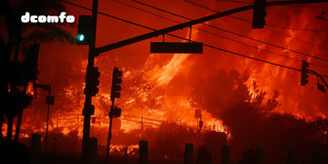 Pacific Palisades Fire